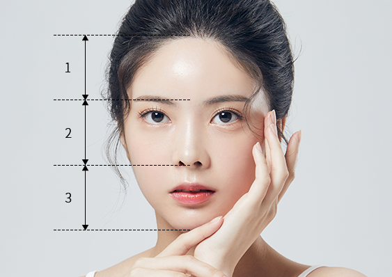 여성 헤어라인과 얼굴 비율 디자인